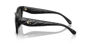 Coach Sunglasses HC8418U