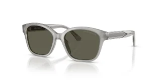 638693 Shiny Opal Grey