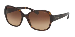 512013 Dark Tortoise