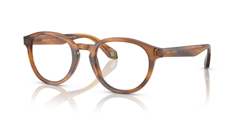 Giorgio Armani Eyeglasses AR7248