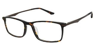 C02 Tortoise