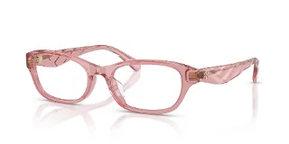 2021 Transparent Light Pink
