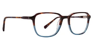 Tortoise/Blue