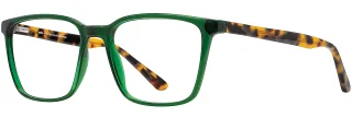 C03 Bottle Green / Tokyo