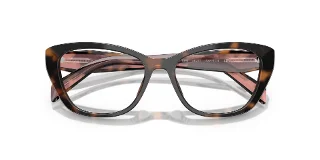 Prada Eyeglasses PR19WV