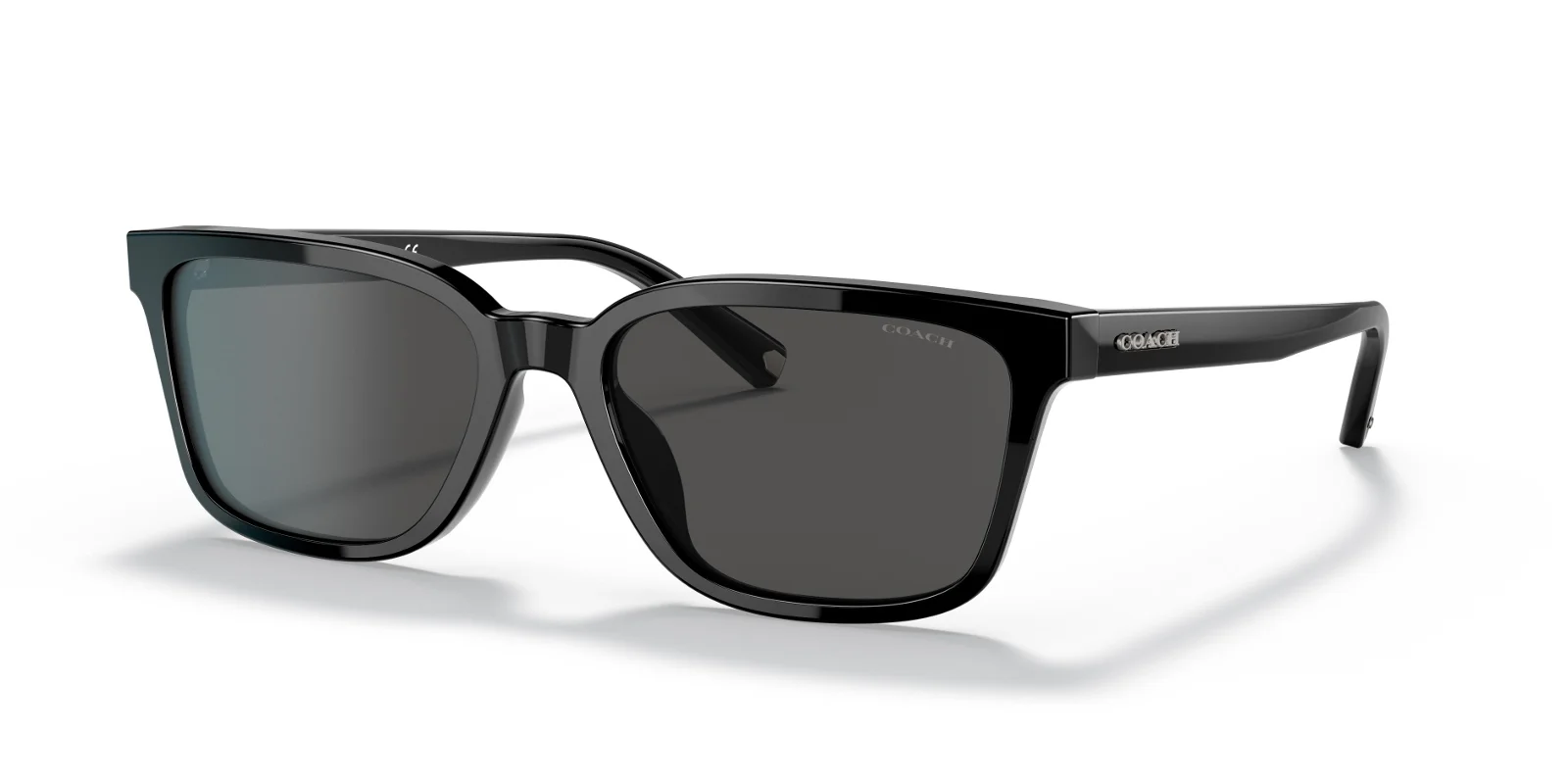 Coach Sunglasses HC8328U