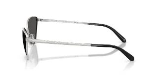 Ralph Lauren Sunglasses RL7093