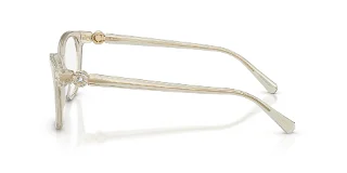 Swarovski Eyeglasses SK2073