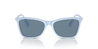Swarovski Sunglasses SK6004F