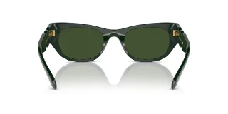 Swarovski Sunglasses SK6022
