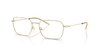 6110 Shiny Pale Gold