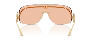 Dolce & Gabbana Sunglasses DG2320