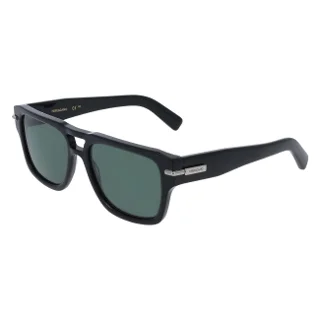 Salvatore Ferragamo Sunglasses SF2070S