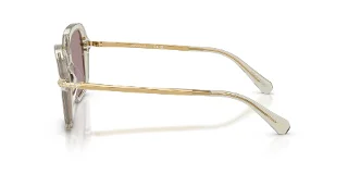 Swarovski Sunglasses SK6040