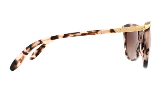 Ralph Sunglasses RA5203