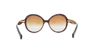 Ralph Sunglasses RA5172
