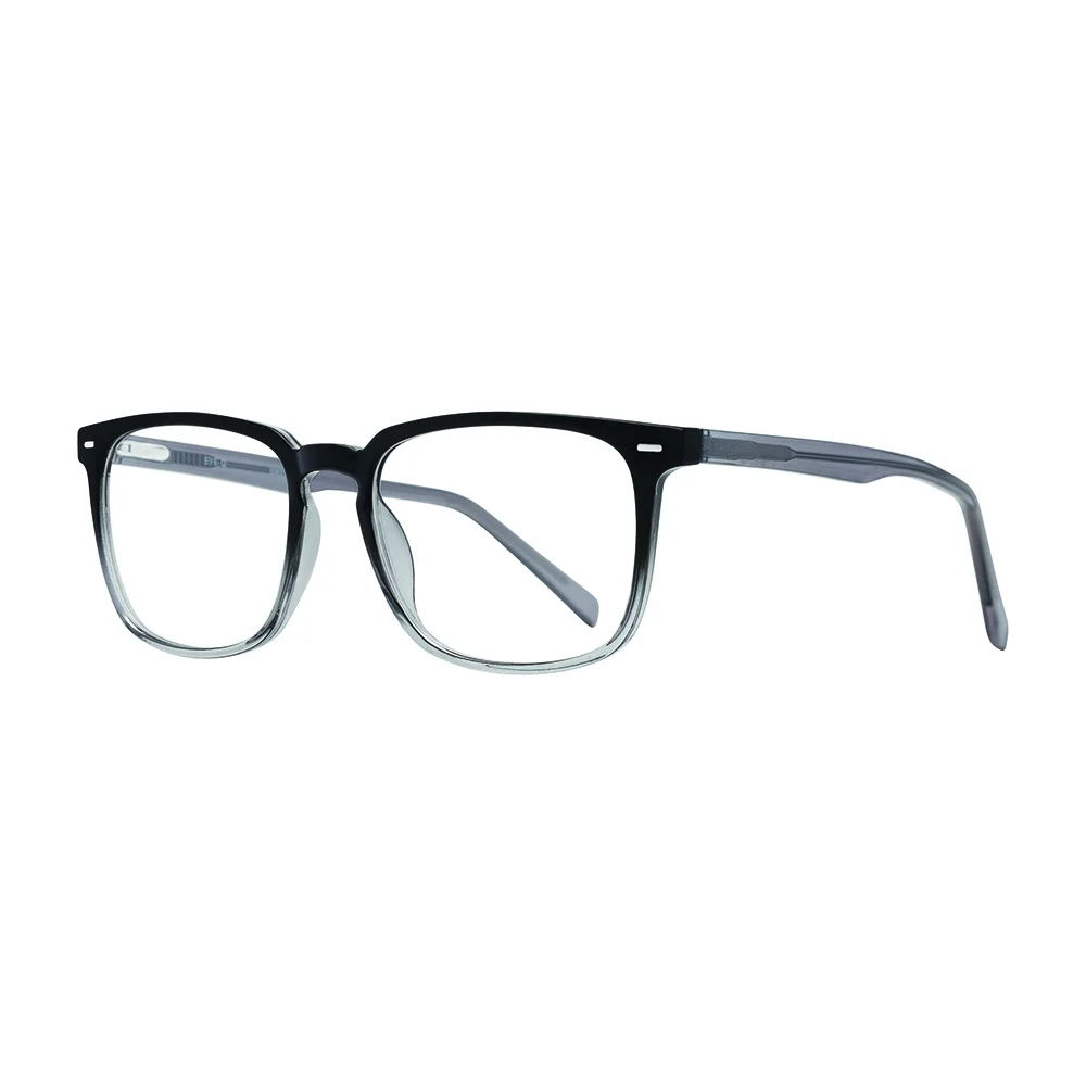 Stylewise Eyeglasses SW236