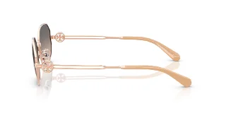 Tory Burch Sunglasses TY6113