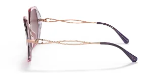 Coach Sunglasses HC8315