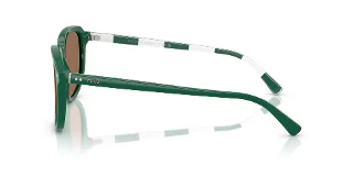 Polo Sunglasses PH4225