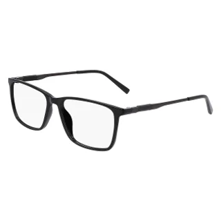 Flexon Eyeglasses EP8019