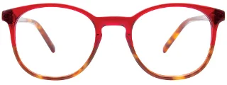 Takumi Eyeglasses TK1254
