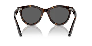 Ray Ban Sunglasses RB2241F