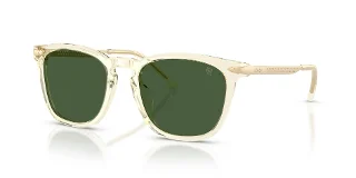 Ralph Lauren Sunglasses RL8233U