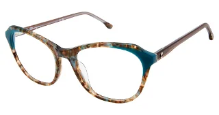 C02 Teal Tortoise