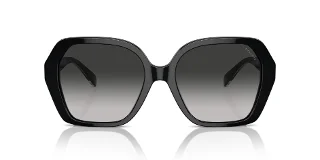 Coach Sunglasses HC8404U