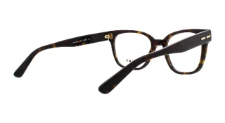 Dkny Eyeglasses DY4679