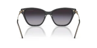 Emporio Armani Sunglasses EA4251F