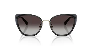 Coach Sunglasses HC7187