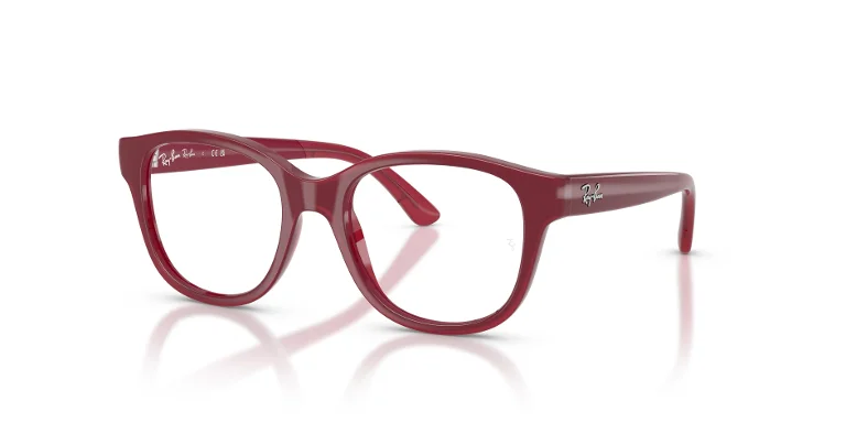 Ray Ban Eyeglasses RY1950