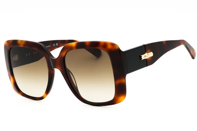 Longchamp Sunglasses LO713S