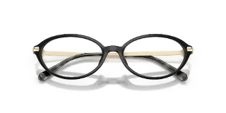 Michael Kors Eyeglasses MK4199U