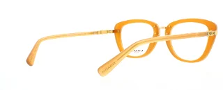 Coach Eyeglasses HC6106B