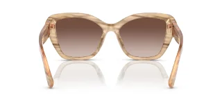 Ralph Lauren Sunglasses RL8216U