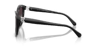 Ralph Lauren Sunglasses RL8225U