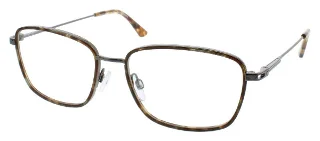 Tortoise/Gunmetal