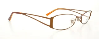 Gant Eyeglasses GW JANI
