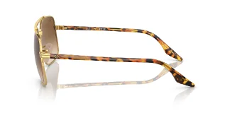 Ray Ban Sunglasses RB3699