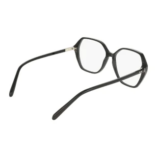 Salvatore Ferragamo Eyeglasses SF3079