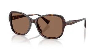 500373 Shiny Dark Havana