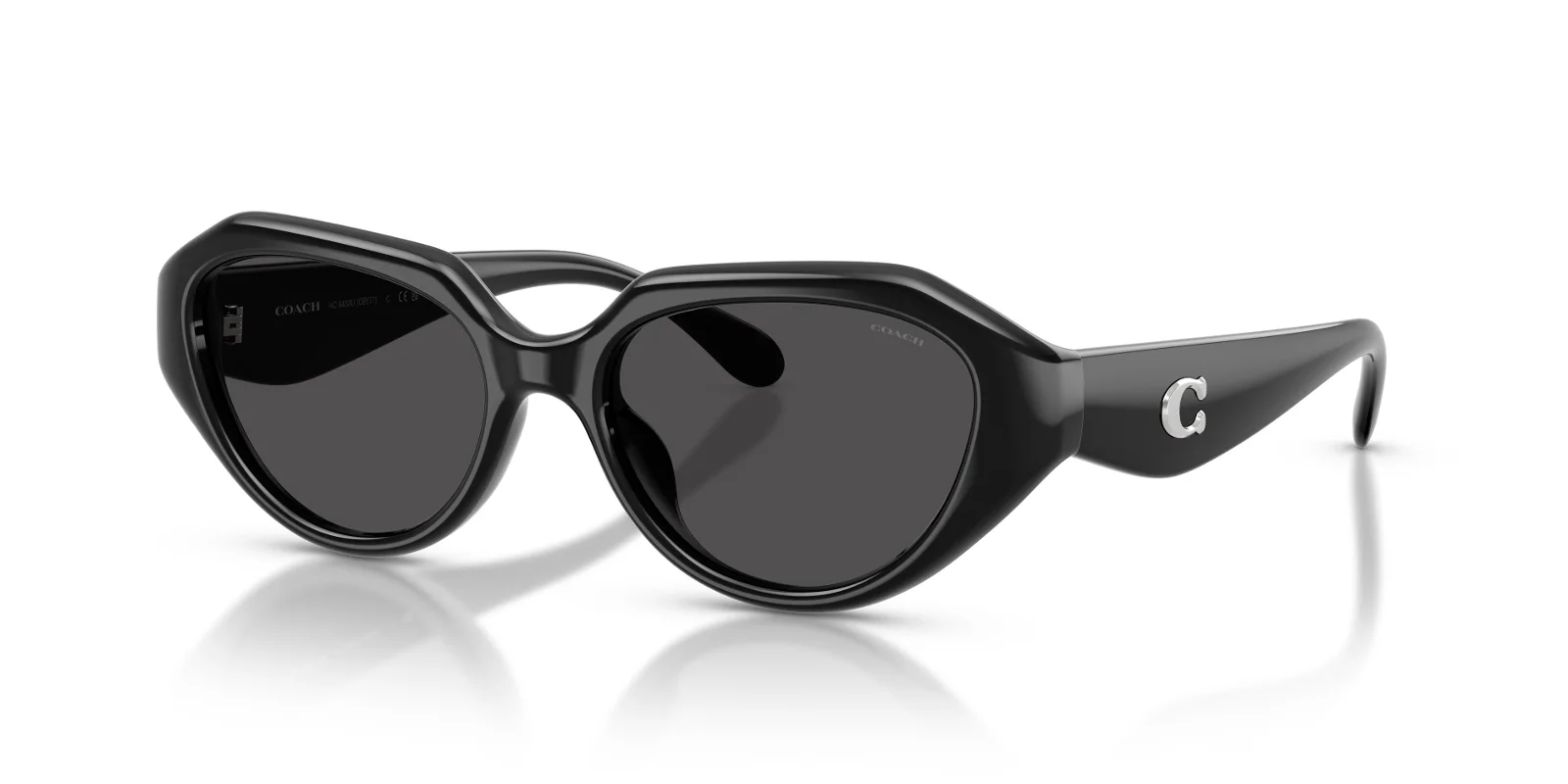Coach Sunglasses HC8433U