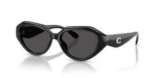 Coach Sunglasses HC8433U