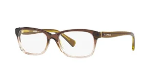 5400 Transparent Olive Gradient