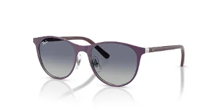 299/4L Matte Violet On Silver