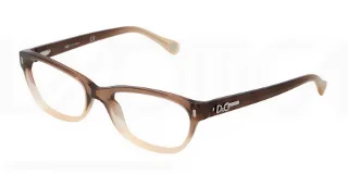 D&G Eyeglasses DD1205