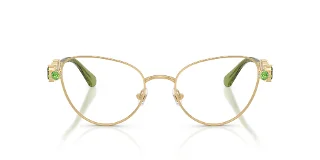 Swarovski Eyeglasses SK1024